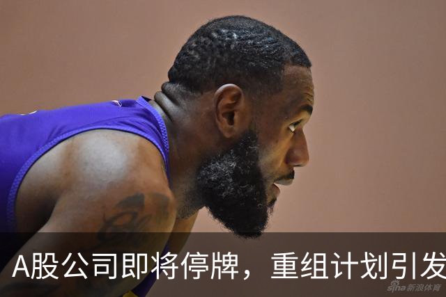 A股公司即将停牌，重组计划引发股价涨停